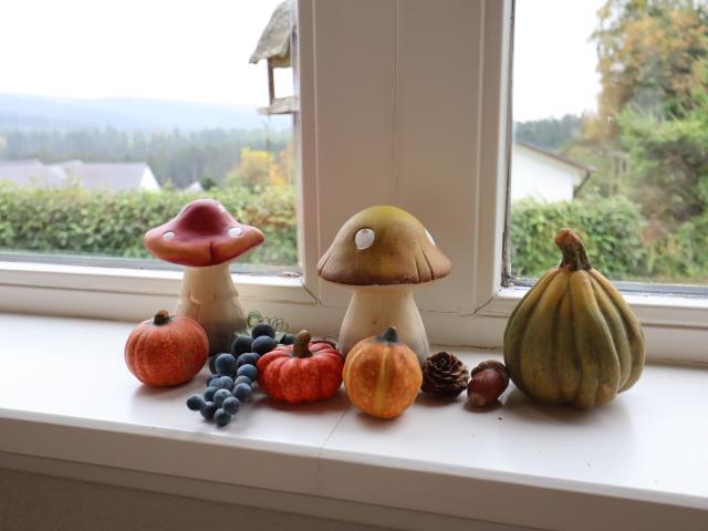 Ambiance / plan rapproché