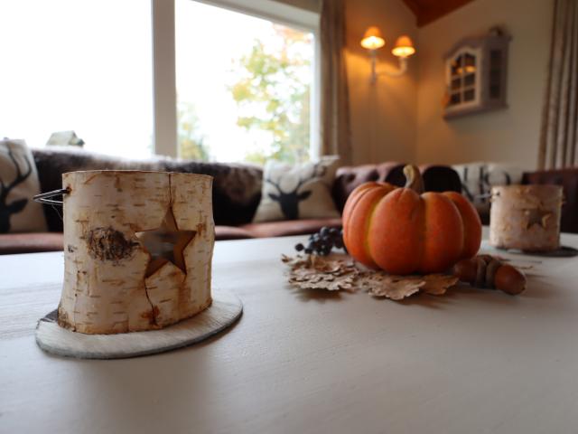 Ambiance / plan rapproché