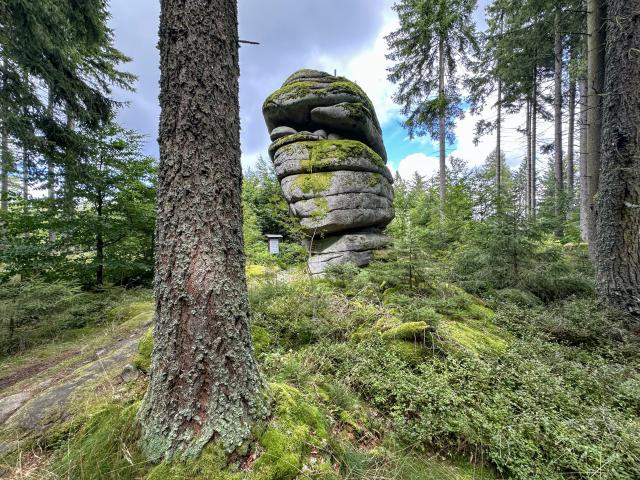 Surroundings (1-5 km)