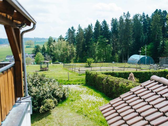 View from Holiday Home