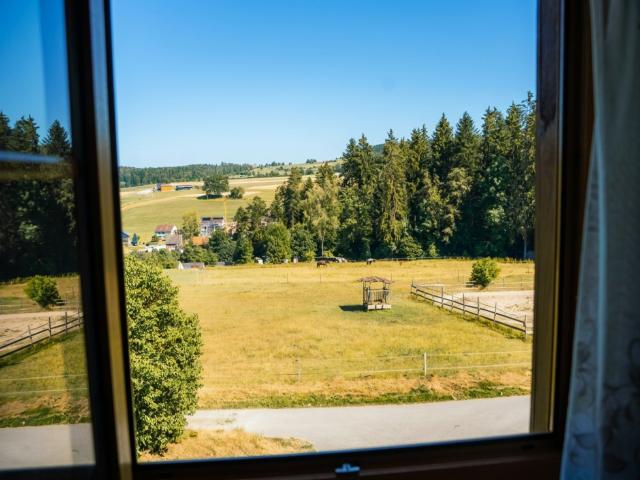 Aussicht vom Ferienhaus