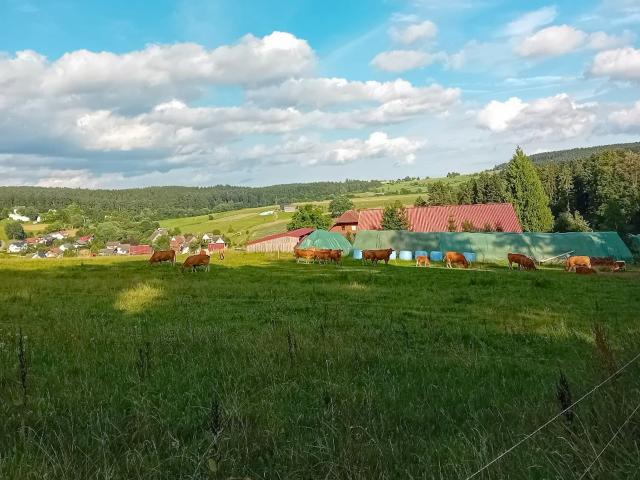 Ausstattung und Service des Ferienhauses