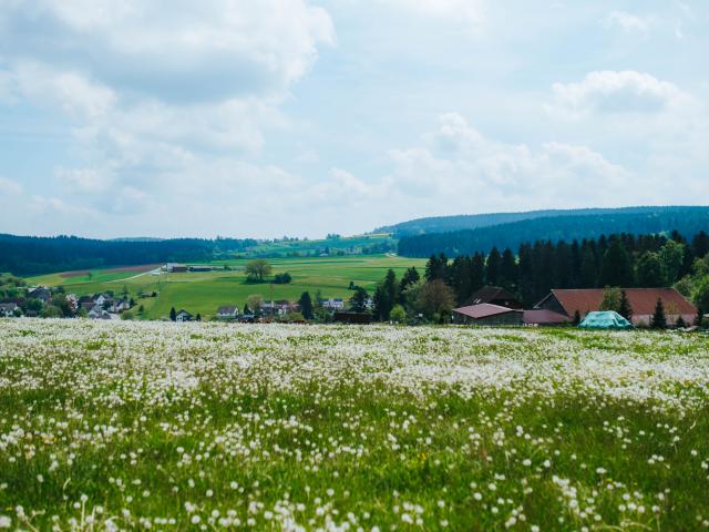 Immediate Surroundings (<1 km)