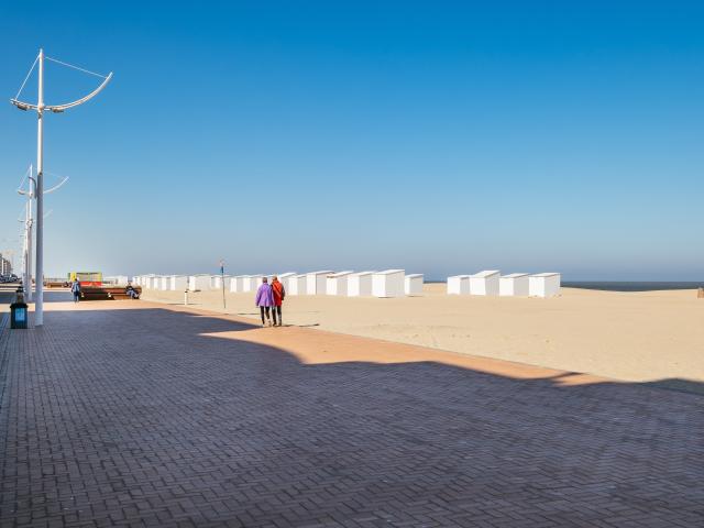 Immediate Surroundings (<1 km)