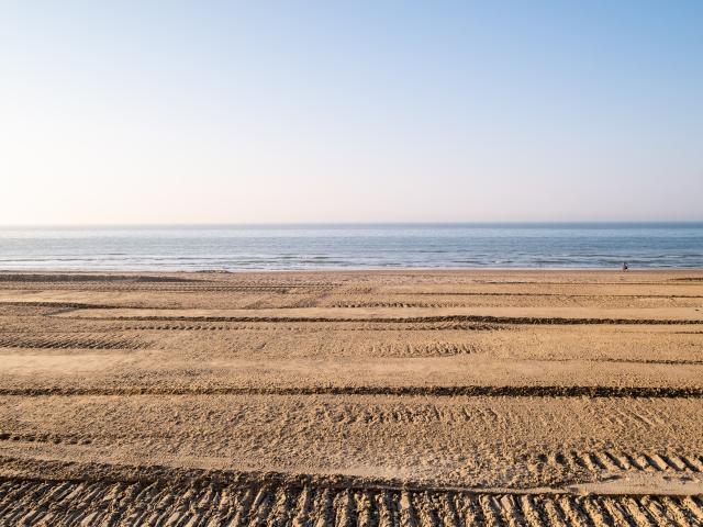 Immediate Surroundings (<1 km)