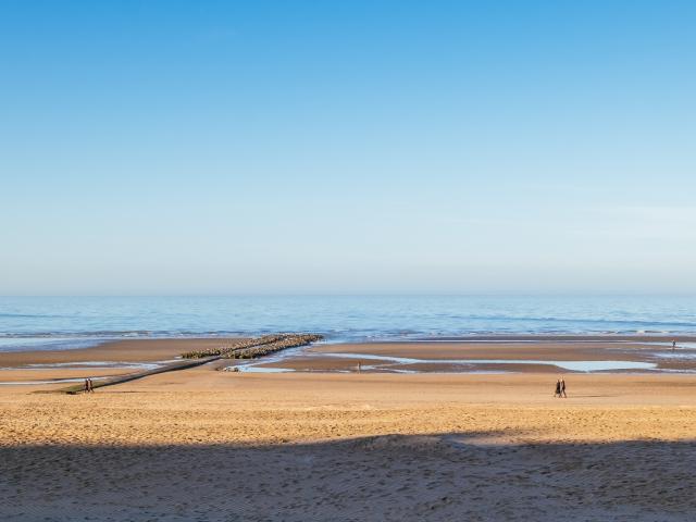 Immediate Surroundings (<1 km)