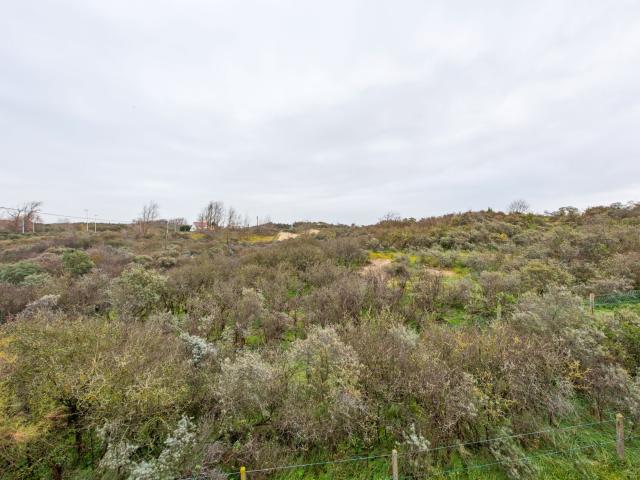 View from Holiday Home