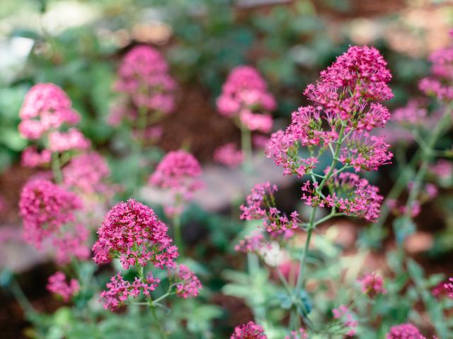 Ambiance / plan rapproché