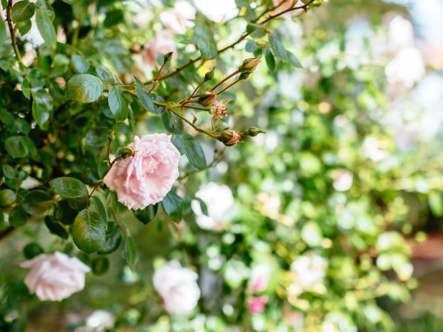 Ambiance / plan rapproché