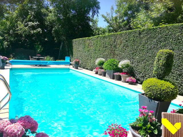 Pool des Ferienhauses