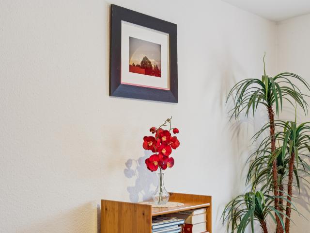 Ambiance / Close-up