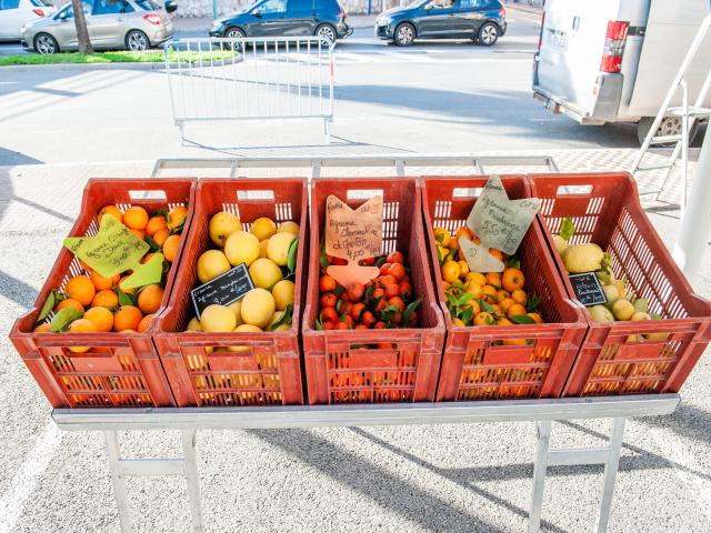 Ambiente / Nahaufnahme