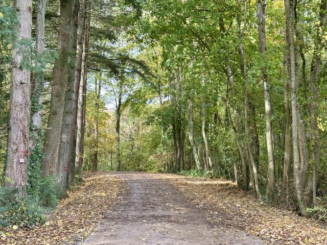 Directe omgeving (<1 km)