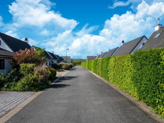 Direkte Umgebung [Sommer] (<1 km)