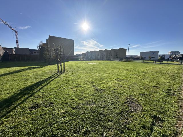 Direkte Umgebung (<1 km)