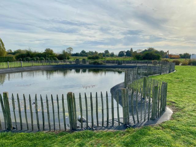 Immediate Surroundings (<1 km)