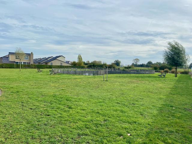 Immediate Surroundings (<1 km)