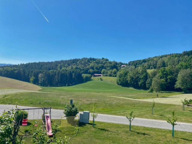 Aussicht vom Ferienhaus