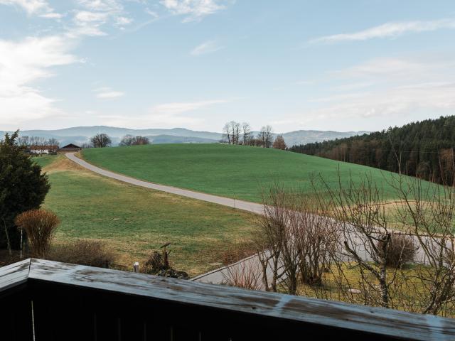 View from Holiday Home