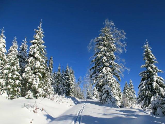 Dans les environs (1-5 km)
