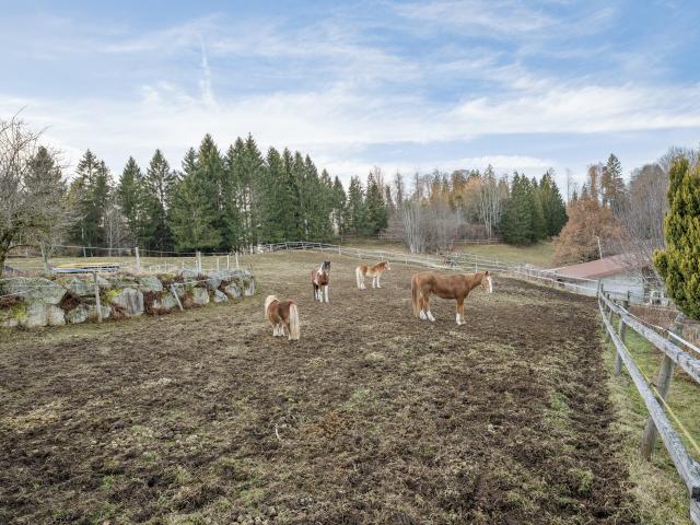 A proximité directe (<1 km)