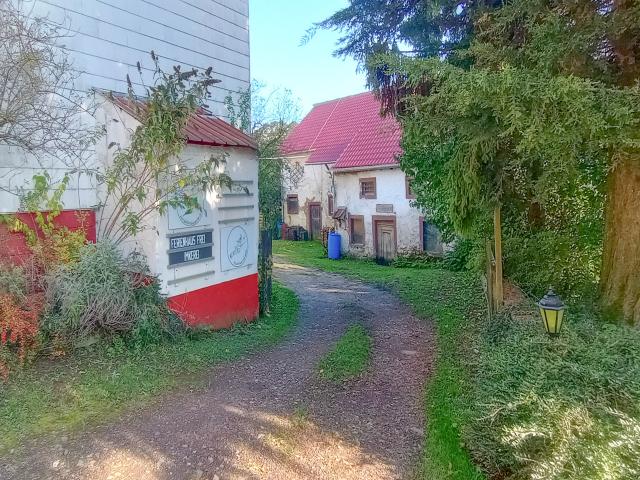 Ambiance / plan rapproché