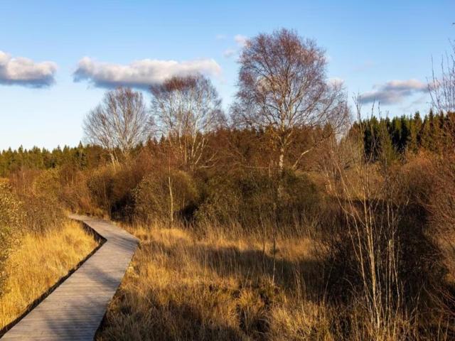 Dans la région (>5 km)