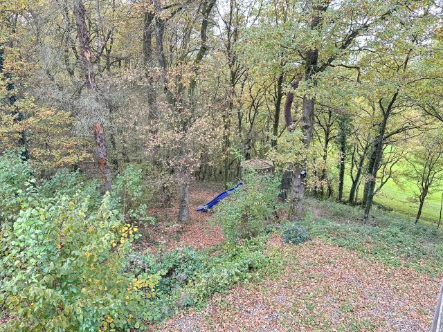 Aussicht vom Ferienhaus