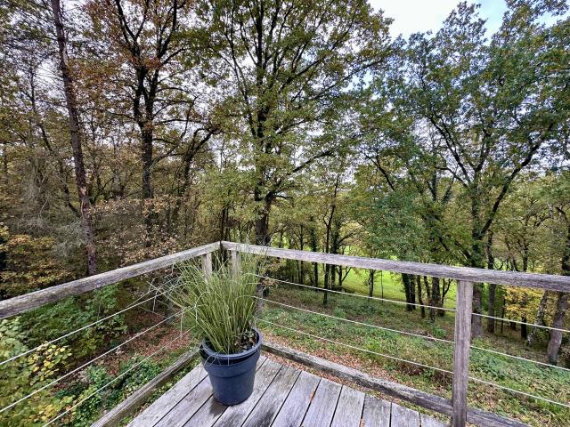 Aussicht vom Ferienhaus