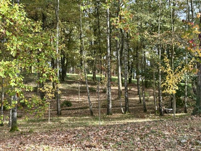 Direkte Umgebung (<1 km)