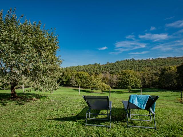 Aussicht vom Ferienhaus
