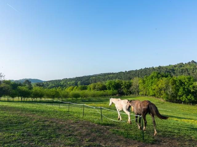 Aussicht vom Ferienhaus