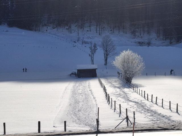 A proximité directe (<1 km)