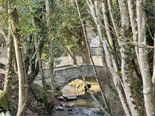 Immediate Surroundings (<1 km)