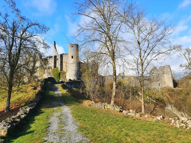 Immediate Surroundings (<1 km)