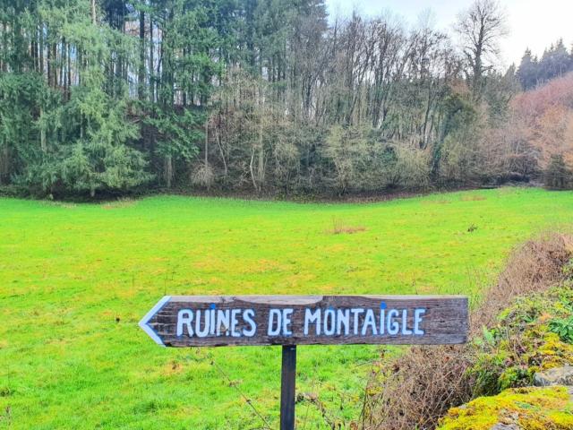 Immediate Surroundings (<1 km)