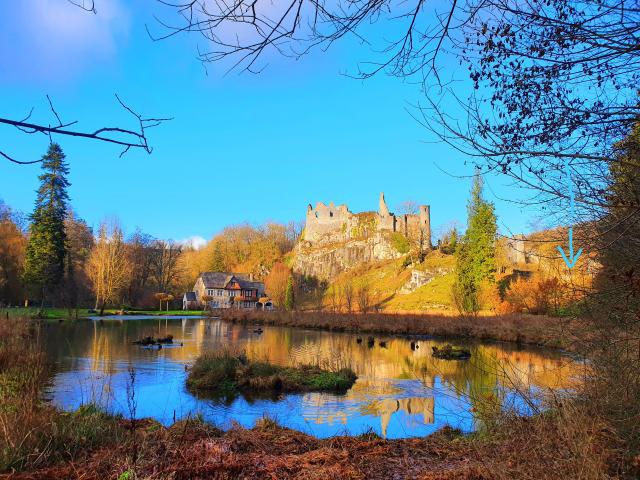 Immediate Surroundings (<1 km)