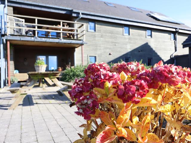 Ambiance / plan rapproché