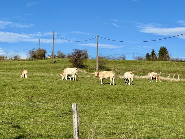 A proximité directe (<1 km)