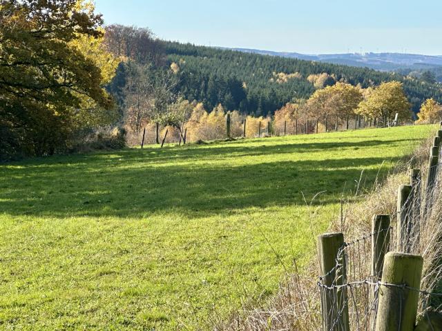 A proximité directe (<1 km)