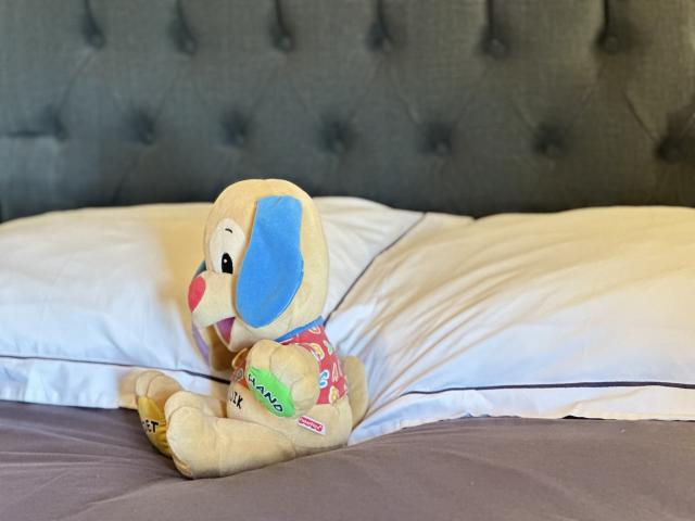 Ambiance / plan rapproché