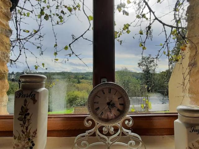 Ambiente / Nahaufnahme