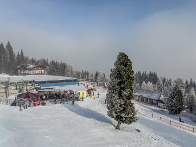 Immediate Surroundings (<1 km)