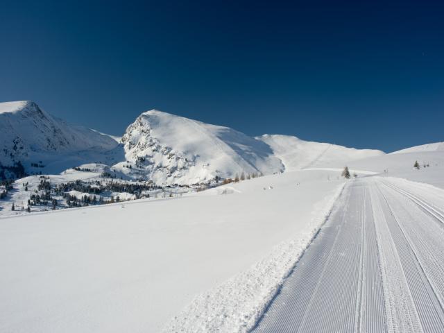 Direkte Umgebung (<1 km)
