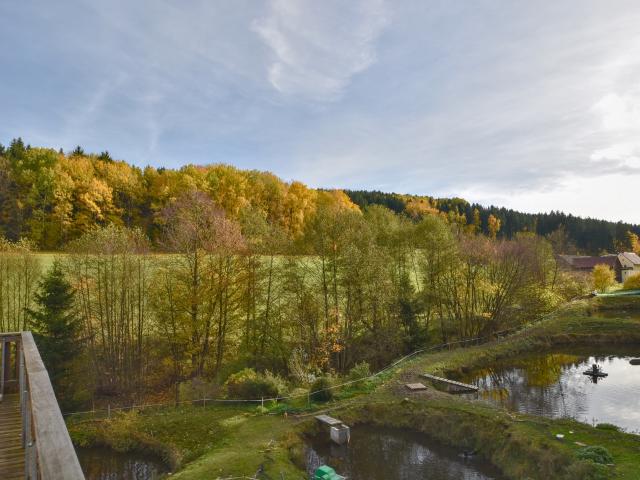 Aussicht vom Ferienhaus