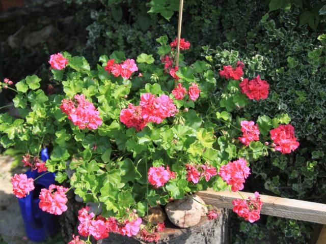 Ambiance / plan rapproché