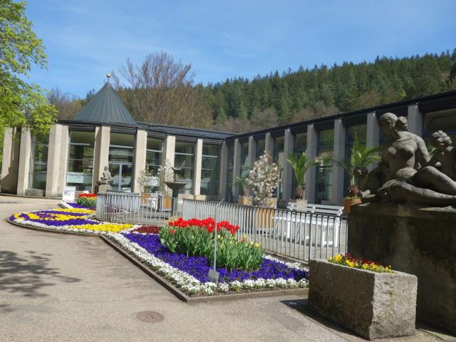 Surroundings (1-5 km)