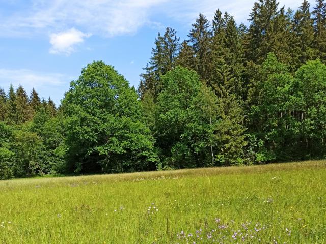 Direkte Umgebung (<1 km)