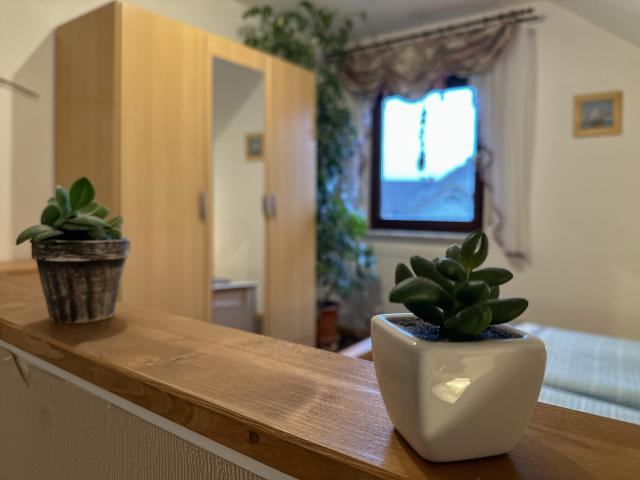 Ambiente / Nahaufnahme