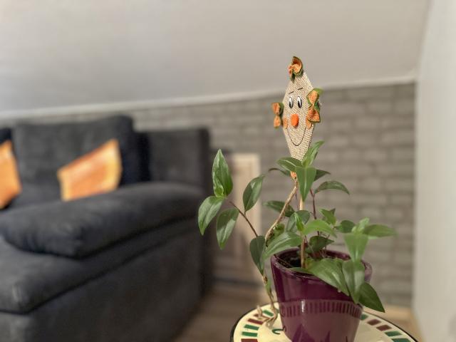 Ambiente / Nahaufnahme